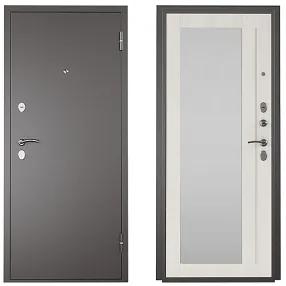 металлическая дверь титан (зеркало) 2050/860